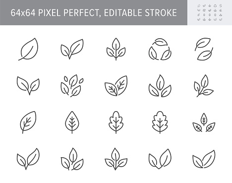 Leaf line icons. Vector illustration include icon - botany, herbal, ecology, bio, organic, vegetarian, eco, fresh, nature outline pictogram for flora. 64x64 Pixel Perfect, Editable Stroke.