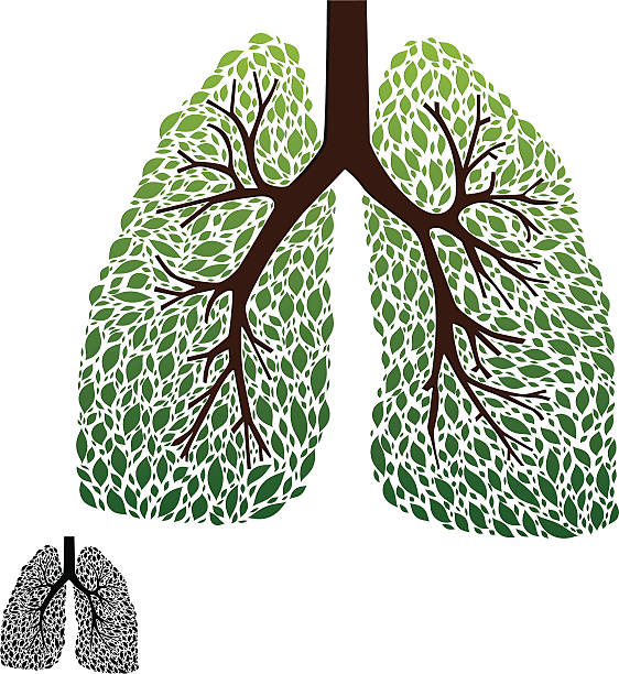 Leaf Lung vector art illustration