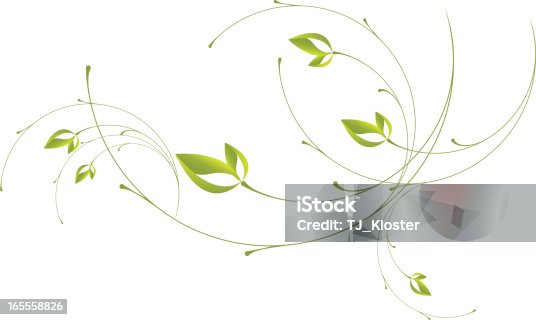 istock Leaf Scrolls 165558826