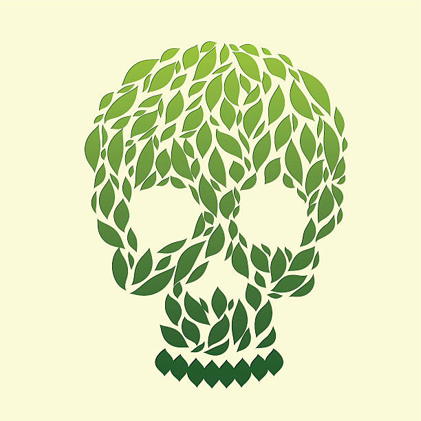 Leaf Skull vector art illustration