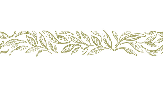 Leaves border. Olive, laurel greek seamless print