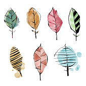 Vector illustration of a set of leaves. Pencil drawing and watercolor paintings