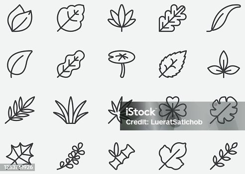 istock Leaves Line Icons 1253761926