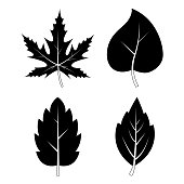 Leaves silhouettes autumn symbols collection. Black and white autumnal falling leaf shape set isolated on white. Black vector of foliage silhouette. Illustration of seasonal icons. Eps 10 design.