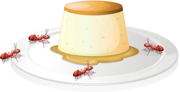 Leche flan in a plate with four ants Leche flan in a plate with four ants on a white background ant clipart pictures stock illustrations