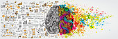 Left and right human brain. Creative half and logic half of human mind. Vector illustration isolated on white background.