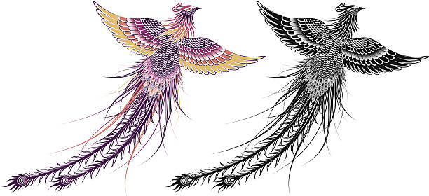 legendary phoenix bird vector art illustration