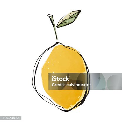 istock Lemon fruit color pencil drawing 1336238395