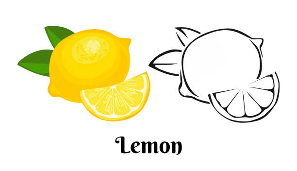 bildbanksillustrationer, clip art samt tecknat material och ikoner med citron frukt ikon som isolerats på vit bakgrund. vektor färg illustration av gul citrus med grönt blad och svart och vitt kontur. - lemon