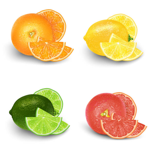 ilustrações de stock, clip art, desenhos animados e ícones de lemon, lime, orange, grapefruit fresh fruit set. realistic 3d vector illustration set. isolated design elements for packaging. product - lime