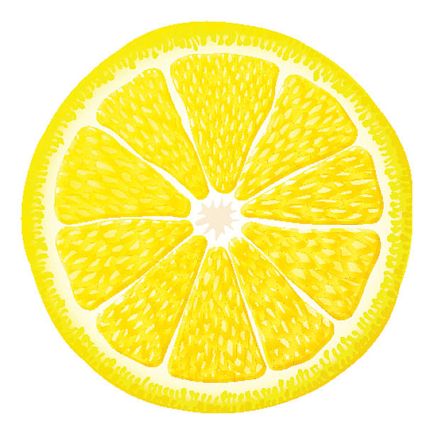Royalty Free Lemon Slice Clip Art, Vector Images & Illustrations - iStock