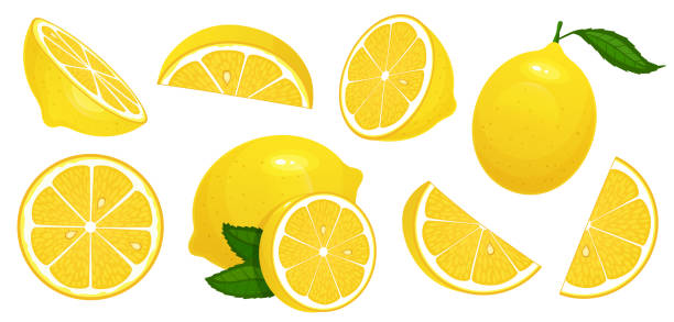 stockillustraties, clipart, cartoons en iconen met citroenschijfjes. verse citrus, half gesneden citroenen en gehakte citroen geïsoleerde cartoon vector illustratie set - citroen
