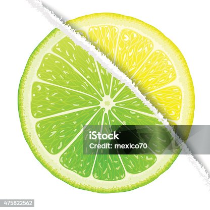 istock Lemon-lime design 475822562