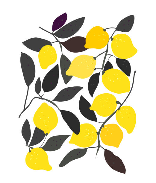 Lemons background for poster or banner. Vector  illustration vector art illustration