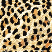 Detailed, seamless, repeating tile of leopard fur.  File contains AI, EPS and large jpeg.