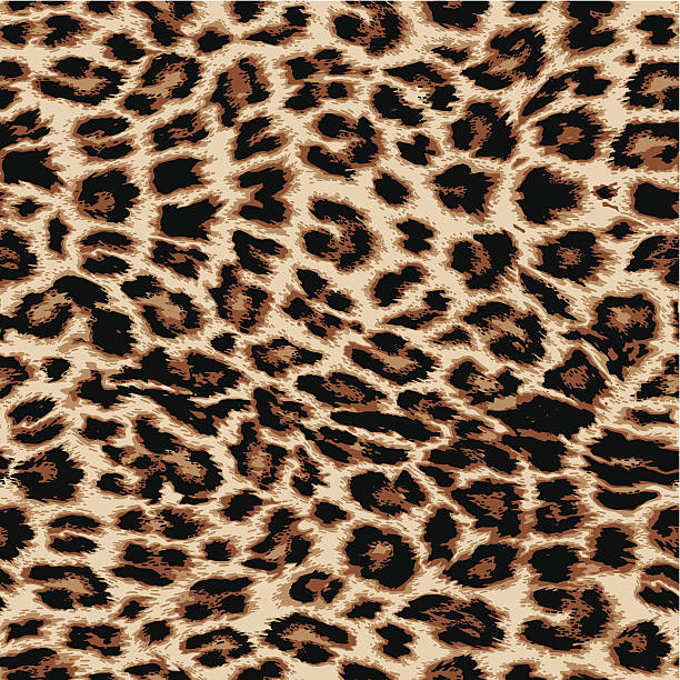 Leopard print Realistic vector leopard print repeat pattern in four colours animal markings stock illustrations