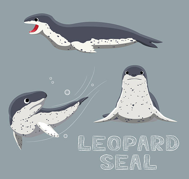 Скачайте векторную иллюстрацию Морской леопард Мультяшный Векторная иллюстр...