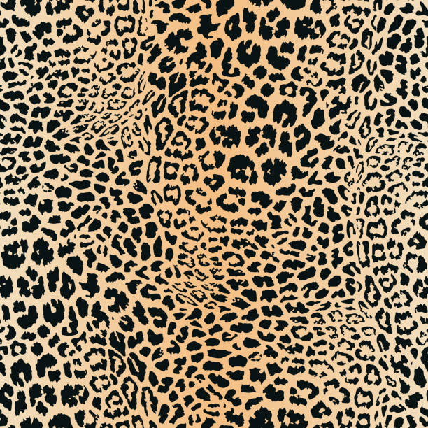 illustrations, cliparts, dessins animés et icônes de motif de peau de léopard. texture sans couture vectorielle. impression animale, jaguar, guépard - camouflage ukraine