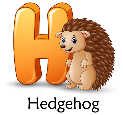 letter hedgehog alphabet cartoon illustration vector animal