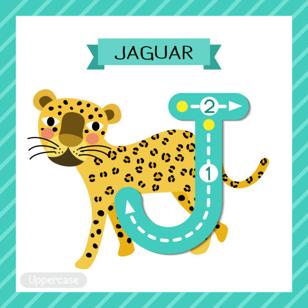 Animals Alphabet: J Is For Jaguar Illustrations, Royalty-Free Vector ...