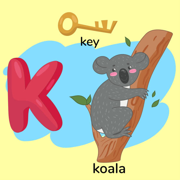 Animal Alphabet Letter K For Koala Illustrations, Royalty-Free Vector ...