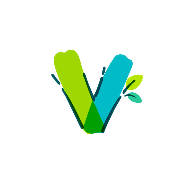 V letter logo with green leaf handwritten with a felt-tip pen. Vector bold marker font can be used for nature labels, summer headlines, bio posters, ecology cards etc. drawing of a fancy letter v stock illustrations