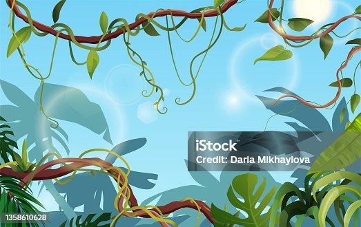 istock Liana or vine winding branches with tropic leaves background. Jungle tropical climbing plants. 1358610628