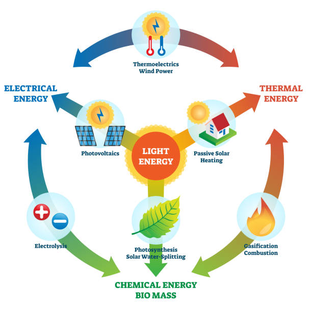 Light energy vector illustration. Labeled power usage types collection scheme Light energy vector illustration. Labeled power usage types collection scheme. Electrical, thermal, chemical and bio mass energy cycle with electrolysis, gasification, photosynthesis and solar heat. photosynthesis diagram stock illustrations