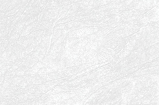 Light gray skin texture, genuine or faux white leather background, closeup.