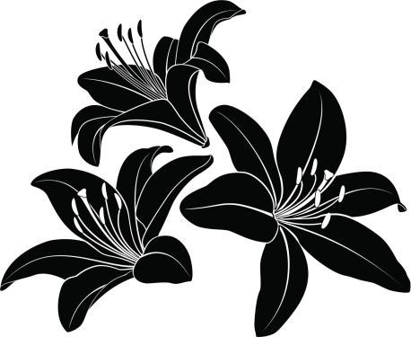 Free Free Vector Lily Flower Svg SVG PNG EPS DXF File