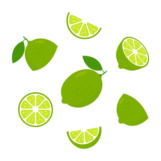 ilustrações de stock, clip art, desenhos animados e ícones de lime fresh slices icon set. - lime