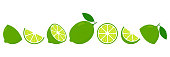 Lime fresh slices set. Cut limes fruit slice for lemonade juice or vitamin c logo. Citrus icons vector illustration isolated on white background.