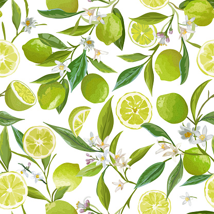 Lime Seamless Fruit Vector Pattern. Floral Citrus Illustration Background. Flowers, Leaves, Limes, Lemons Design Elements. Vintage Romantic Garden Print, Texture, Wallpaper, Backdrop, Textile