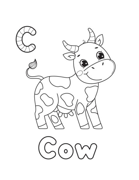 Line art design for kids coloring page..Animals alphabet. Vector illustration Abc animals coloring book. Animals alphabet. Vector cartoon cow. Isolated on white background. printable cow stock illustrations