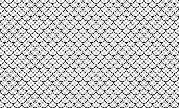 line art of fish scale pattern isolated on transparent background, tile pattern line, mermaid tail pattern grid for decoration line art of fish scale pattern isolated on transparent background, tile pattern line, mermaid tail pattern grid for decoration animal scale stock illustrations