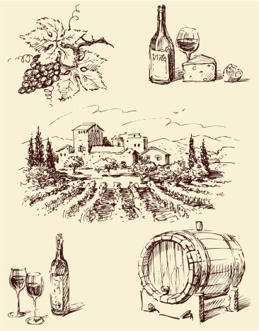 Line drawings of winemaking imagery