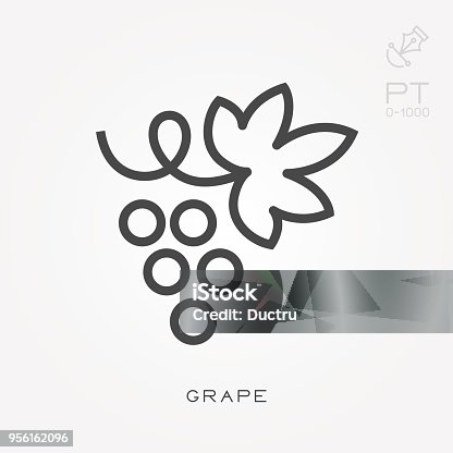 istock Line icon grape 956162096