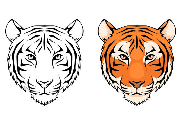 linie illustration ein tigerkopf - tierkopf stock-grafiken, -clipart, -cartoons und -symbole