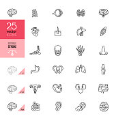 Line Human Internal Organ Icons. Editable Stroke.