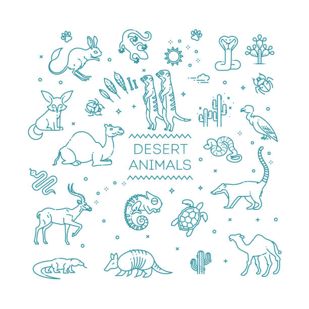 Line wildlife concept with different desert animals . Vector illustration Line wildlife concept with different desert animals . Vector desert area icons stock illustrations