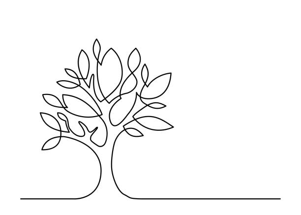 line14 Continuous line drawing of tree on white background. Vector illustration nature drawings stock illustrations