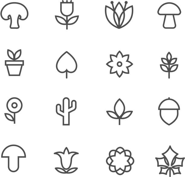 Linear nature icons. Vector thin line flowers and trees, leaves and mushrooms signs Linear nature icons. Vector thin line flowers and trees, leaves and mushrooms signs. Illustration of line acorn, and plant cactus icons stock illustrations