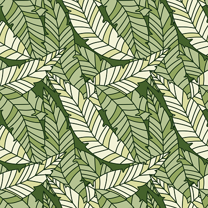 Linear tropical palm leaves seamless pattern. Exotic botanical texture.