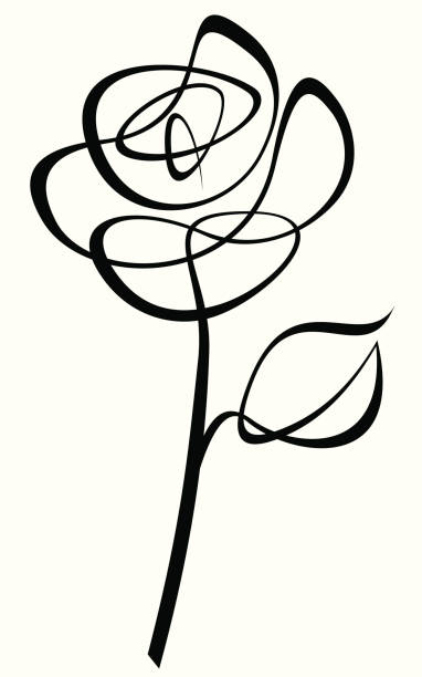 Line Drawing Of A Rose : Royalty free rose clip art vector images illustrations