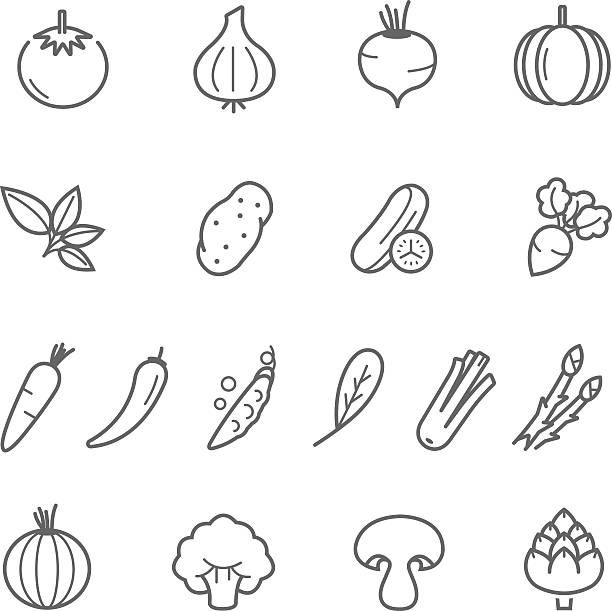 bildbanksillustrationer, clip art samt tecknat material och ikoner med lines icon set - vegetable - potato