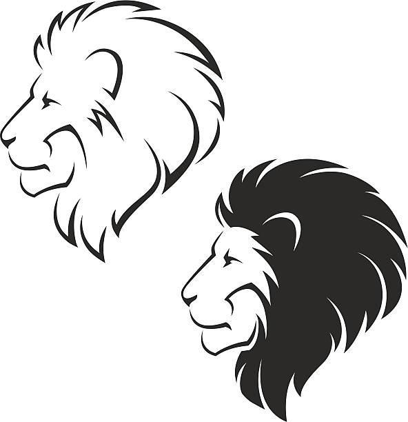 ライオン 横顔 イラスト素材