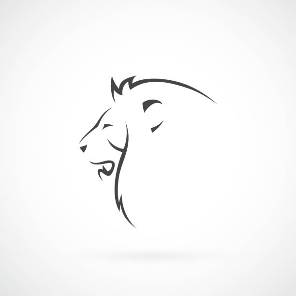 Lion head - vector illustration Lion head lion feline stock illustrations
