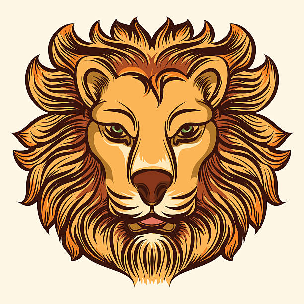 Royalty Free Male Lion Clip Art, Vector Images & Illustrations - iStock