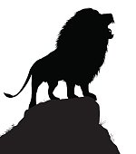 Editable vector silhouette of a roaring male lion standing on a rocky outcrop with lion as a separate object