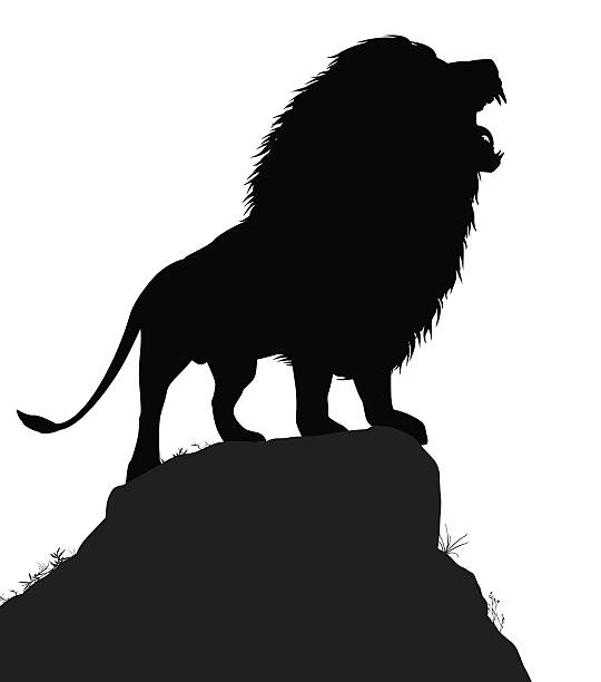 Lion roar Editable vector silhouette of a roaring male lion standing on a rocky outcrop with lion as a separate object outcrop stock illustrations